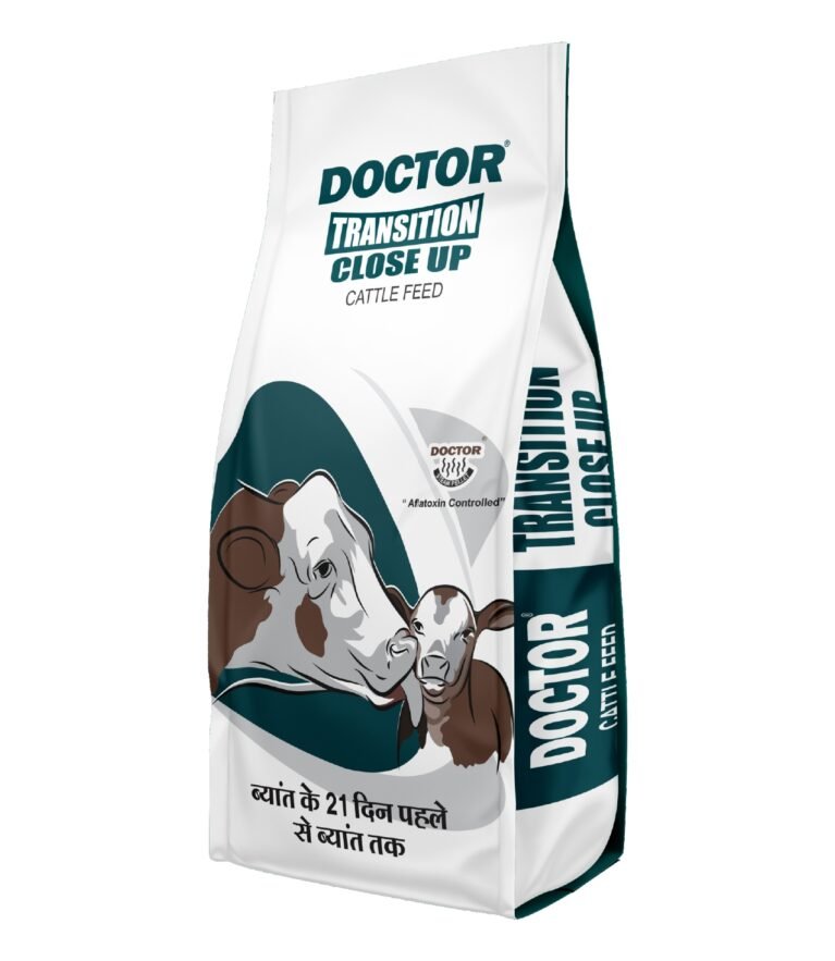 Transition Care Program