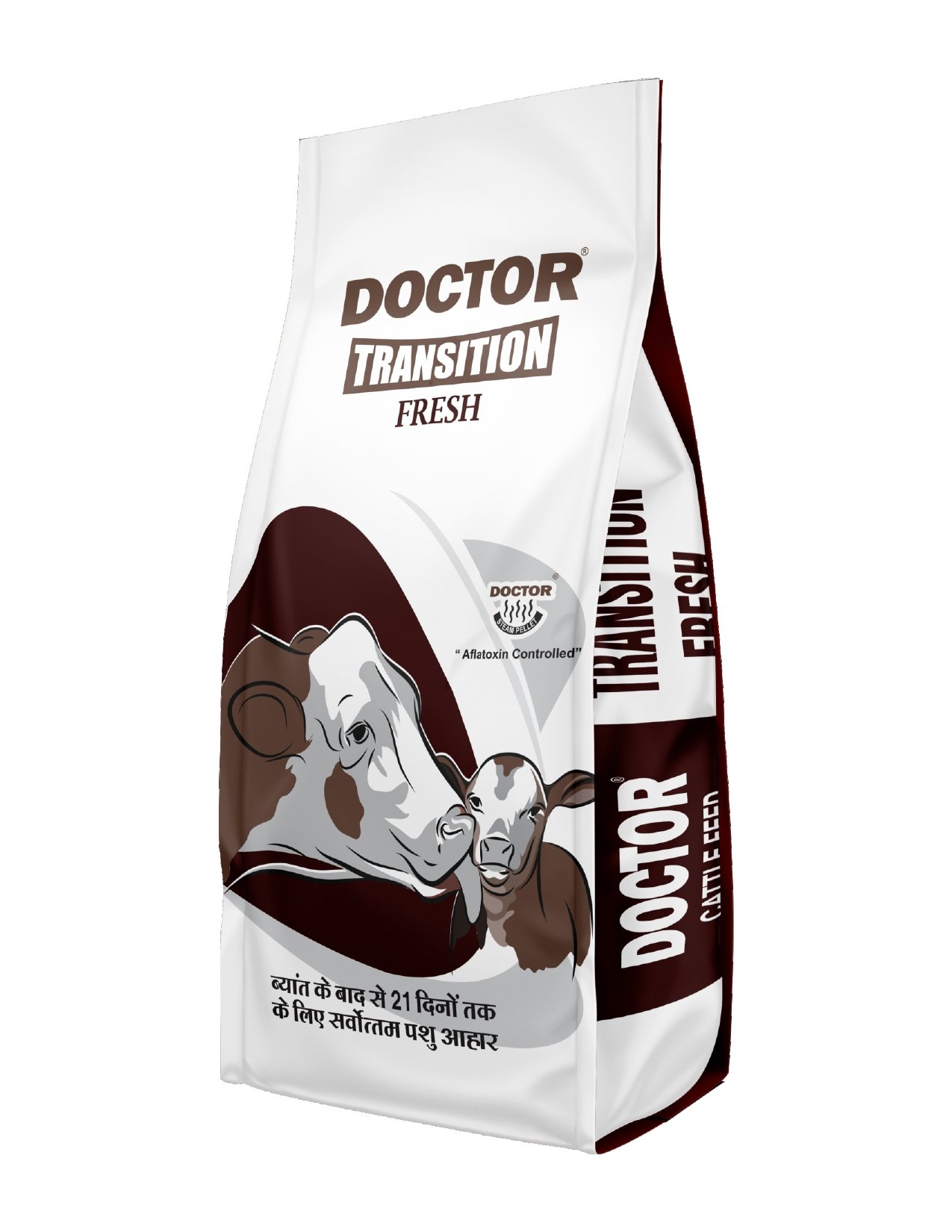 Transition Care Program